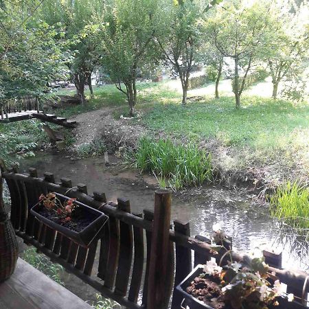 Penzion Sljivik Ni Exteriér fotografie