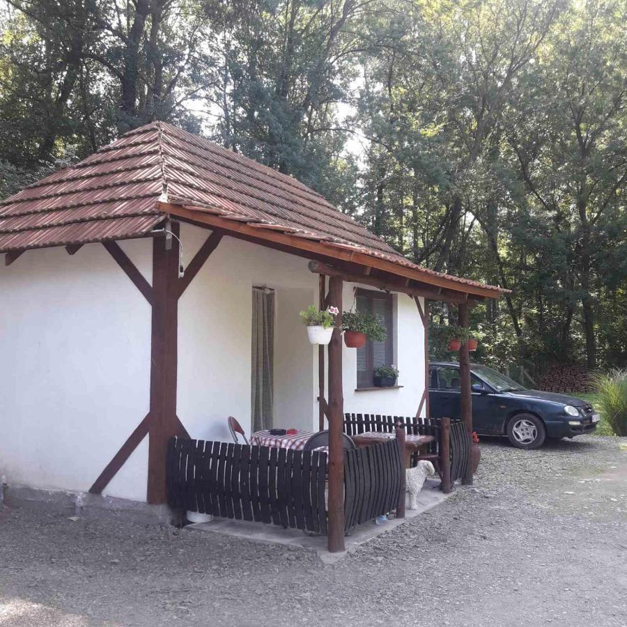 Penzion Sljivik Ni Exteriér fotografie